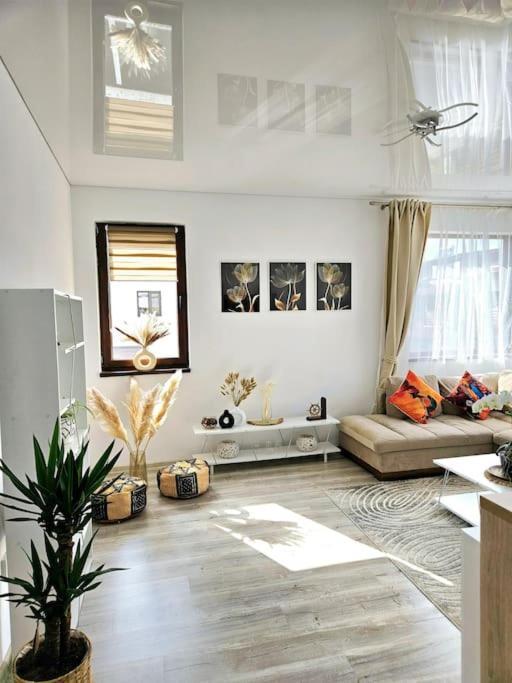 Cozy Sorada 1 Apartment Bragadiru Zewnętrze zdjęcie